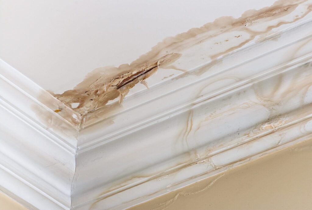 WATER DAMAGE RESTORTION
