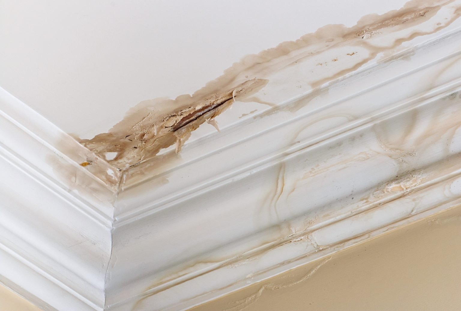 WATER DAMAGE RESTORTION