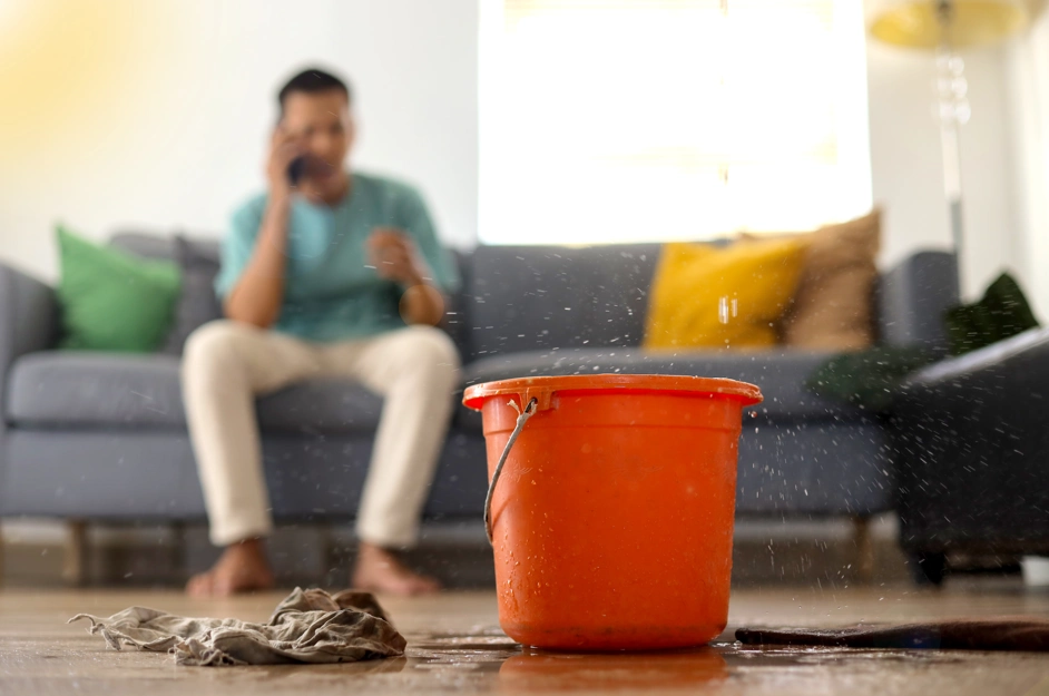 How to Choose a Water Damage Restoration Company in NJ