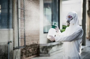 how much does mold remediation cost