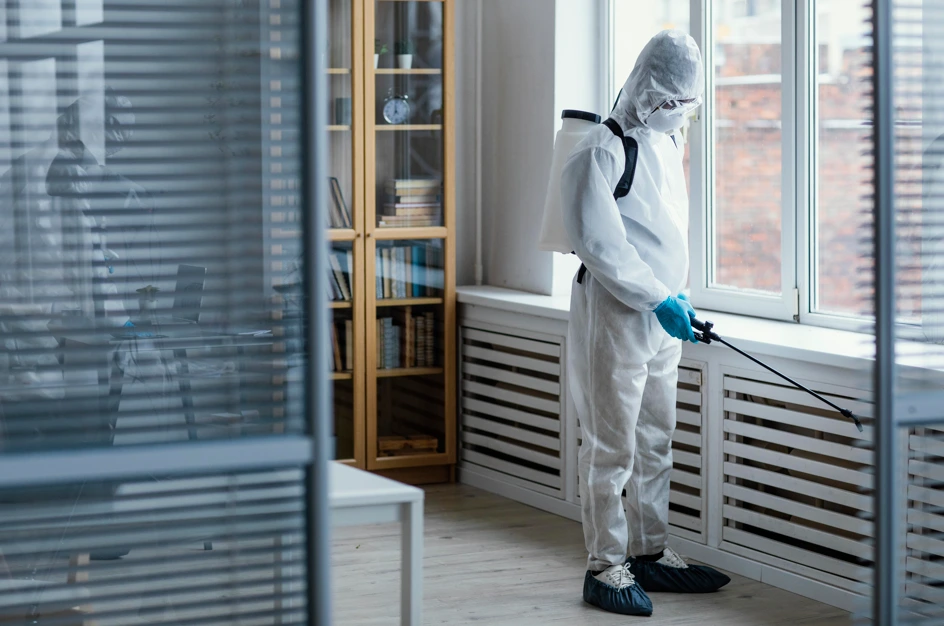 Choose a Trusted Mold Remediation Contractor in NJ